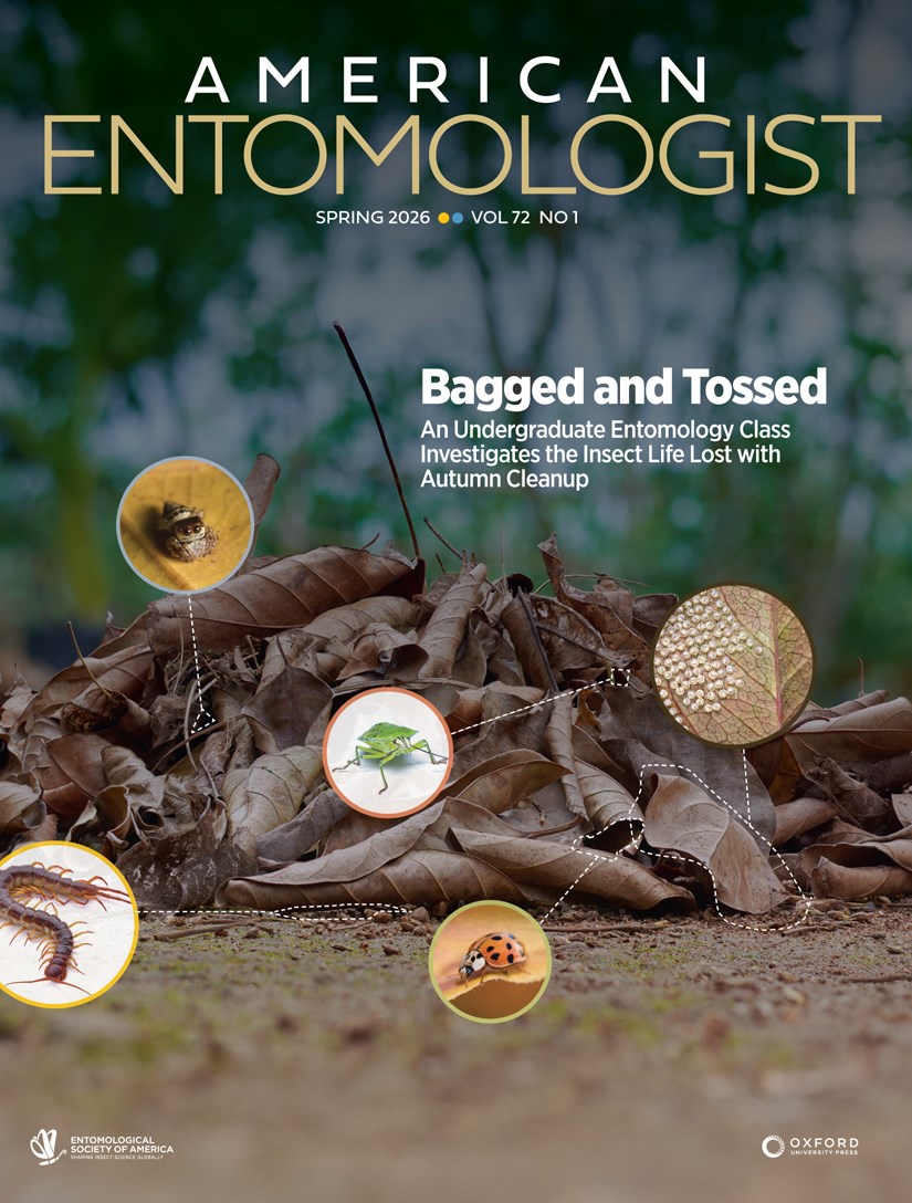 American Entomologist