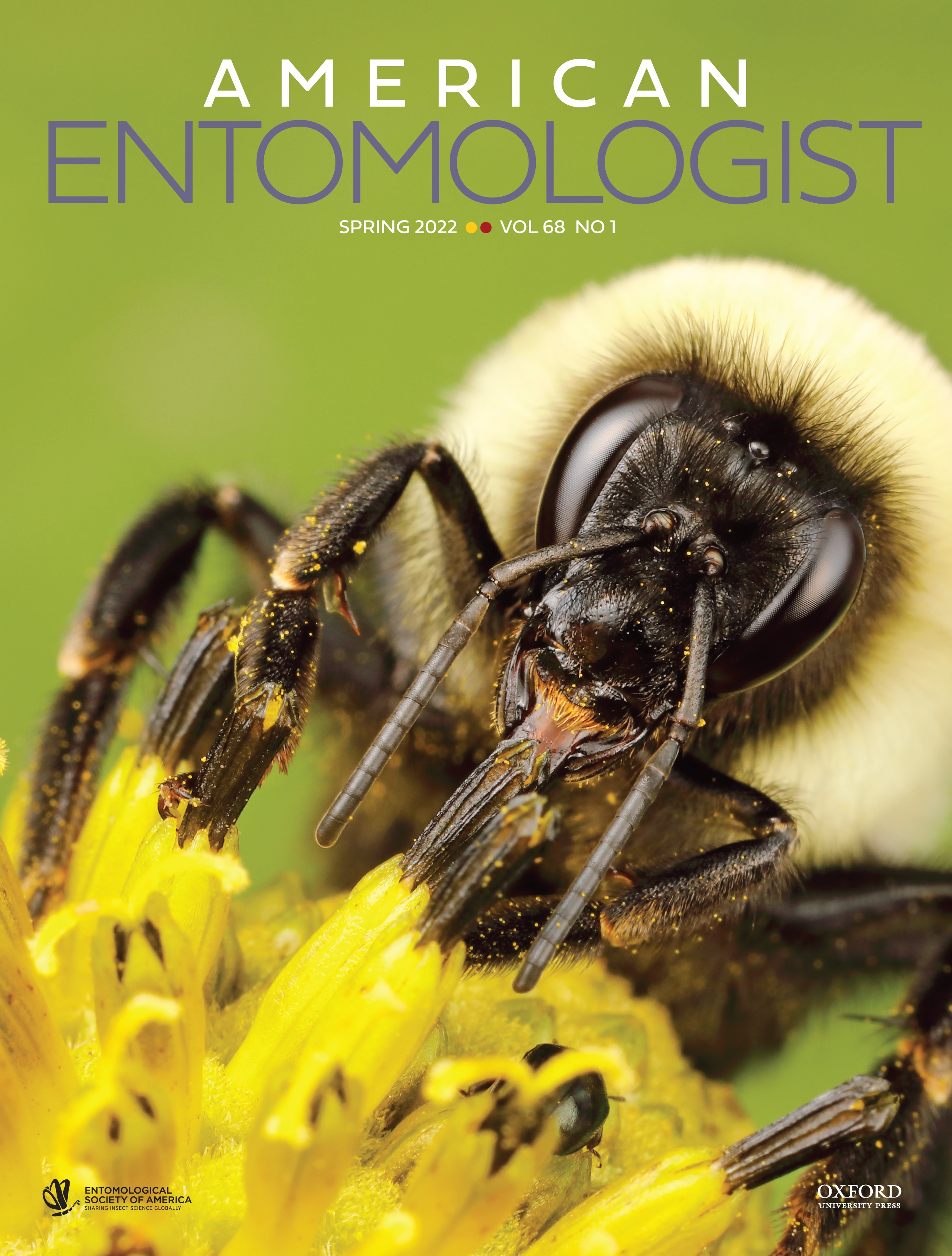 American Entomologist