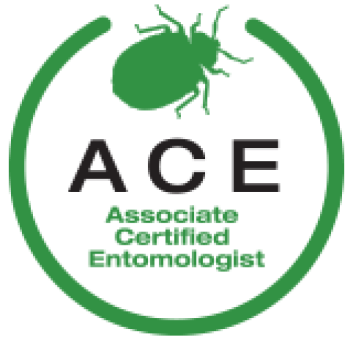 ACE Logo