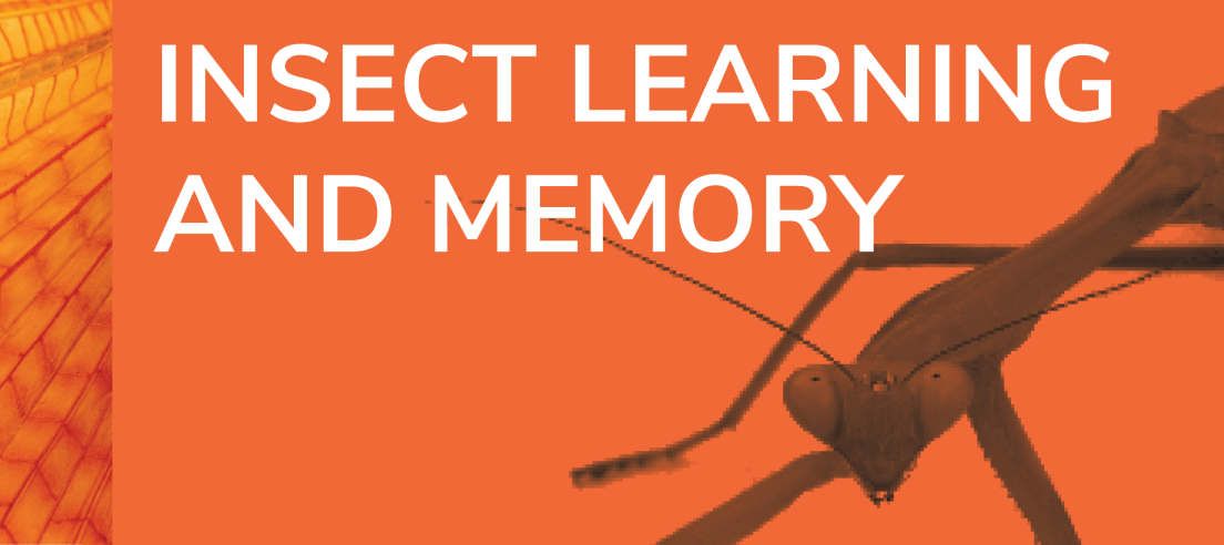 Insect Learning and Memory