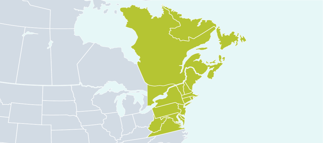 eastern branch map